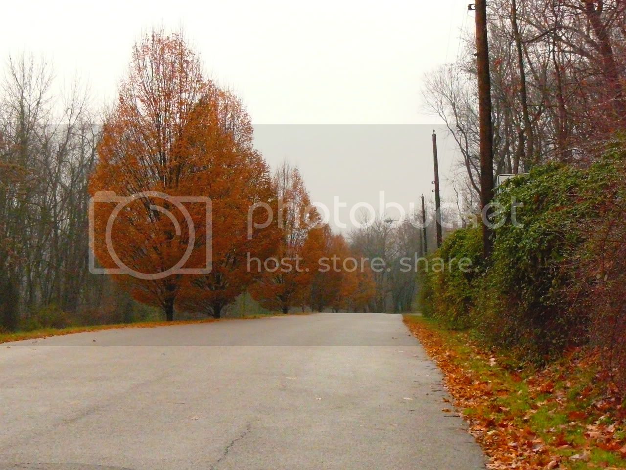 Picture016.jpg
