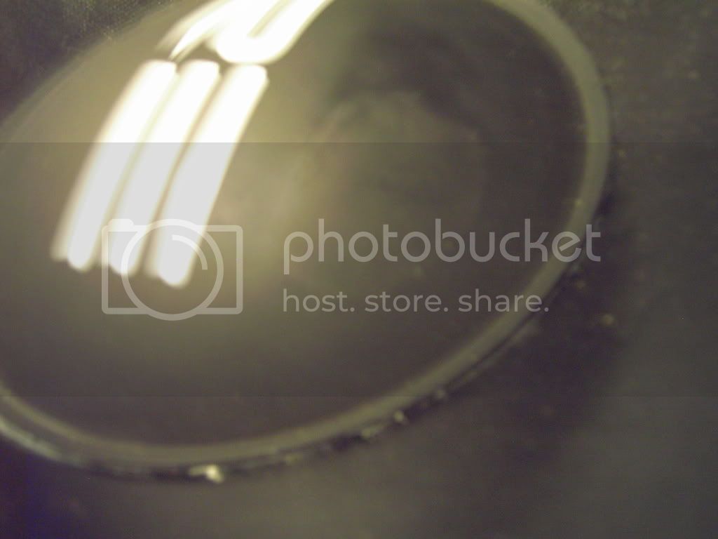 ImportedPhotos00007.jpg
