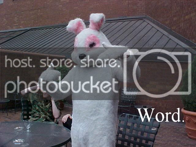bunnyword.jpg