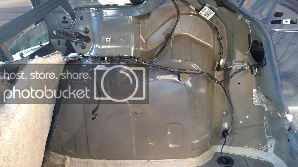 Trunk-15.jpg