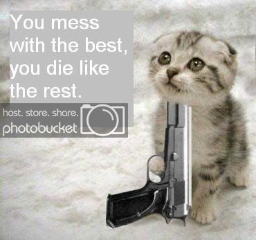 cat_and_gun.jpg