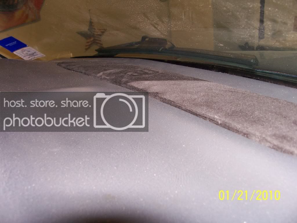 campics055.jpg