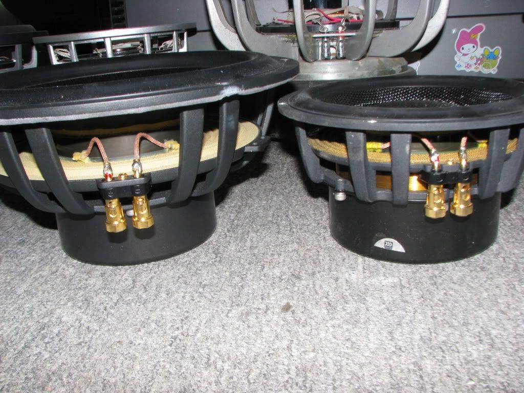 IMG_6306.jpg