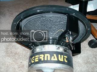 mypics219.jpg