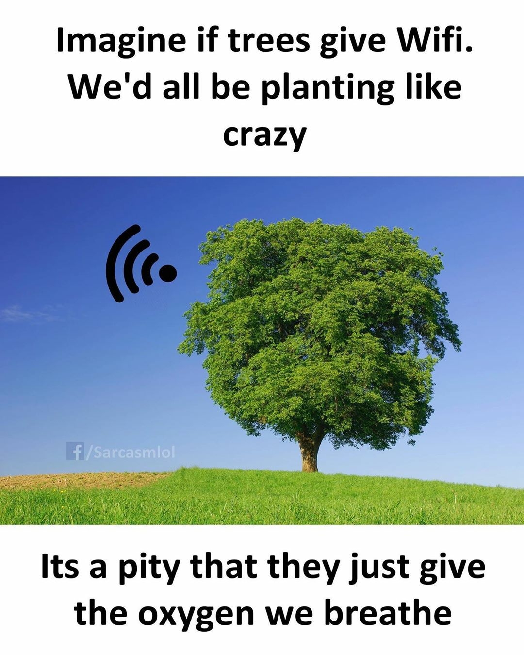 sarcastic-us-B1-LYc-j-Hal-W.jpg