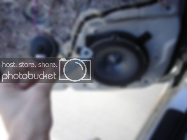 88005.jpg