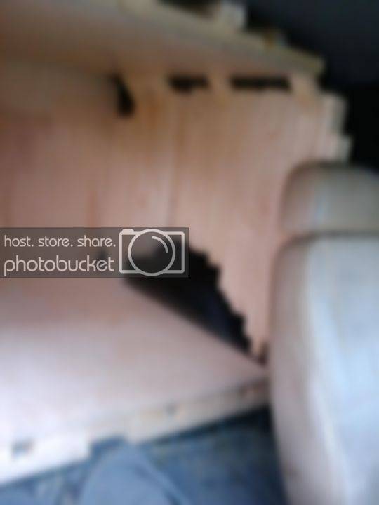 2009-11-10162041.jpg