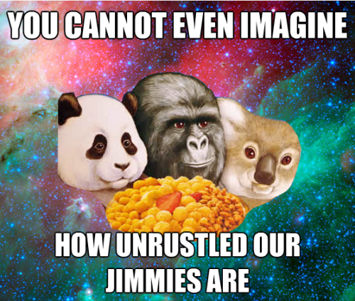 tumblr_m0d00vr64g1qaq1p9o1_500.png