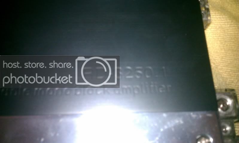 IMAG0223.jpg