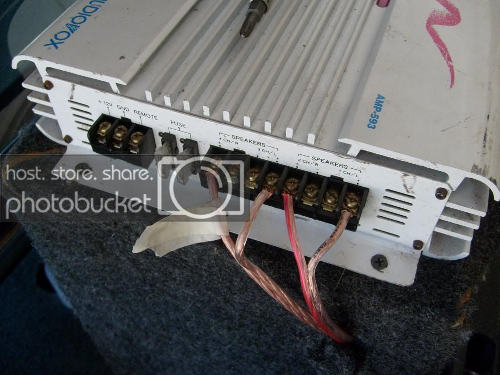 S6300482.jpg