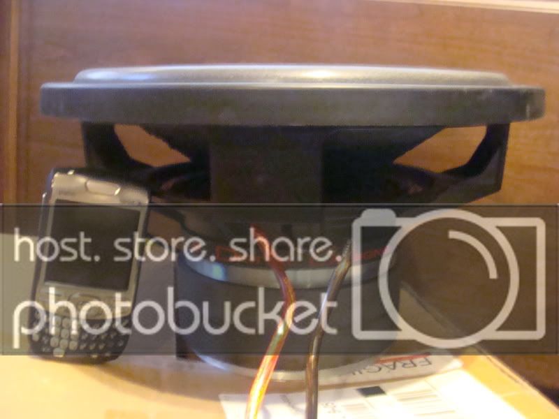 DSC02534.jpg
