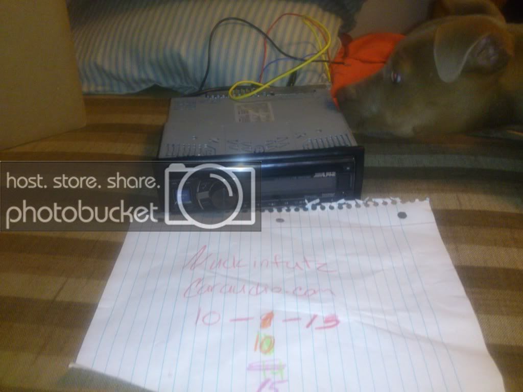 DSC_1431_zps05d4dc06.jpg
