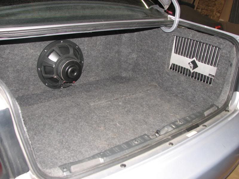 accordtrunk0513016.jpg