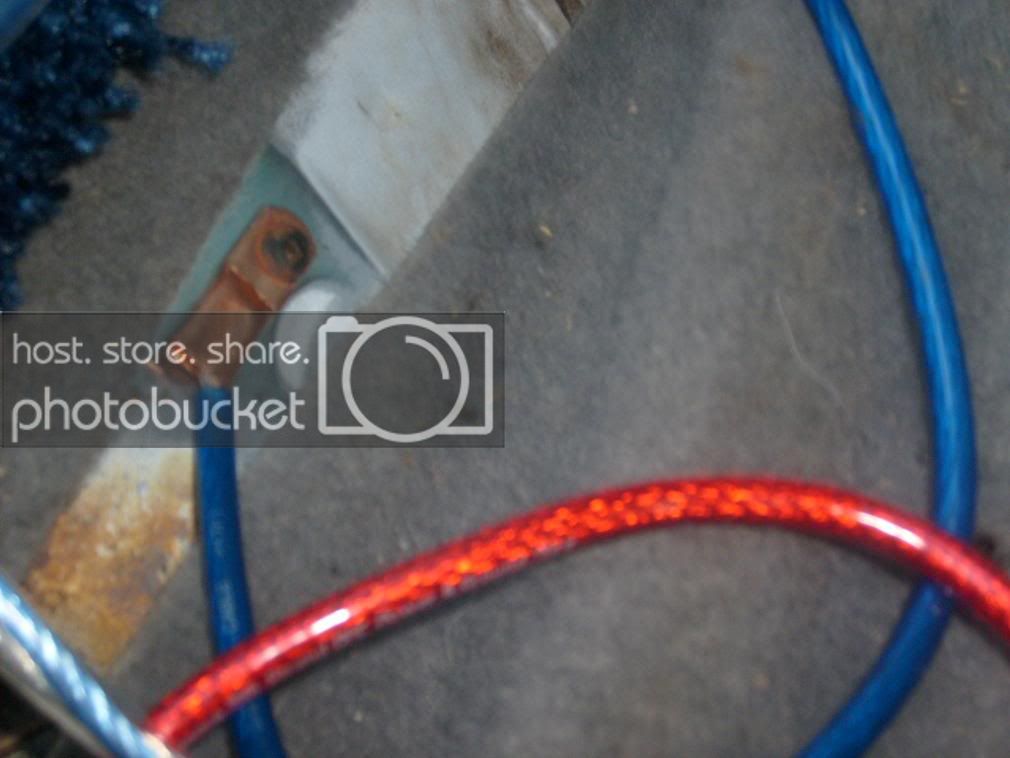 S6301469.jpg