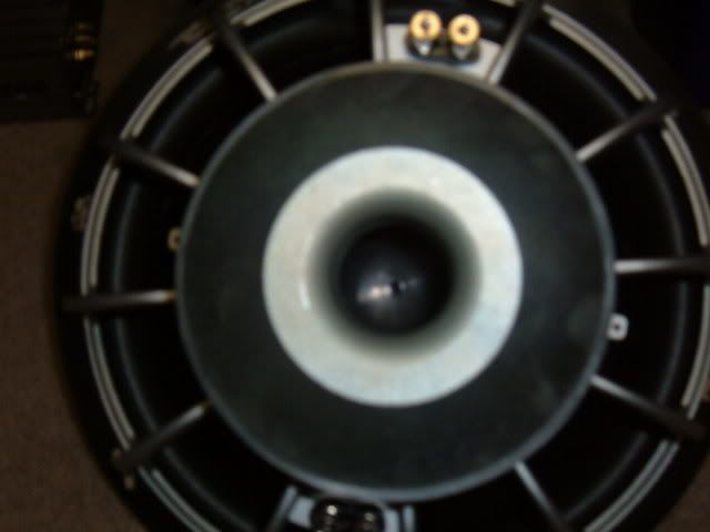batts010.jpg
