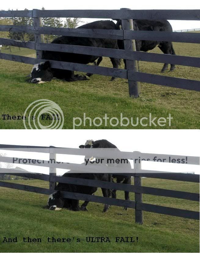 dairy-fail.jpg