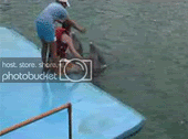 84e5606e.gif