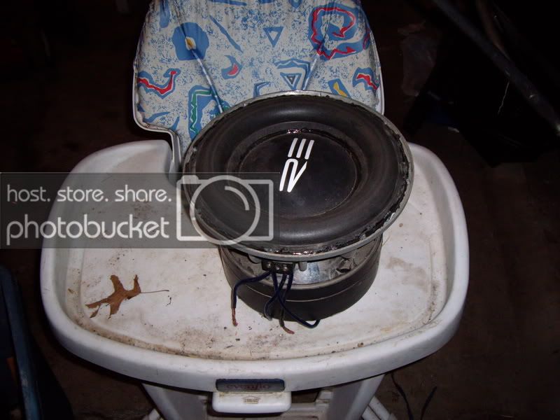IMGP0122.jpg