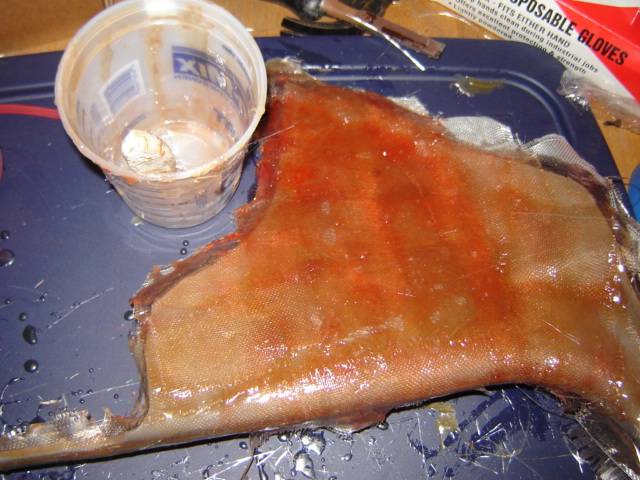 DSC02869.JPG
