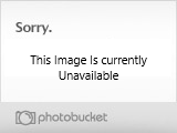 img142.jpg