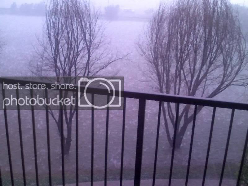 PIC-0107.jpg