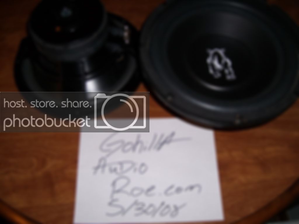 SL730416.jpg