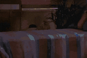 fklqK.gif