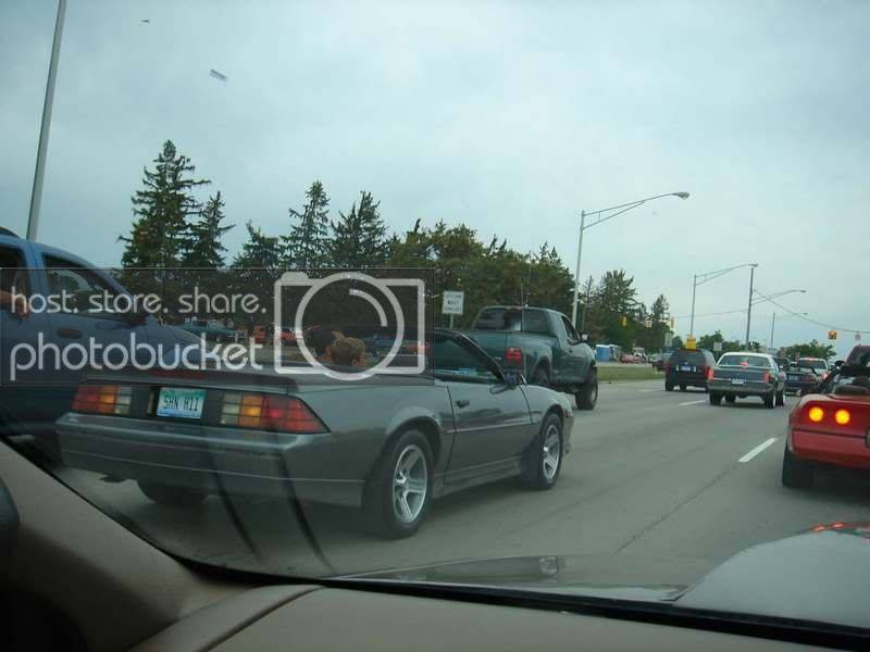 Resized_Picture071.jpg