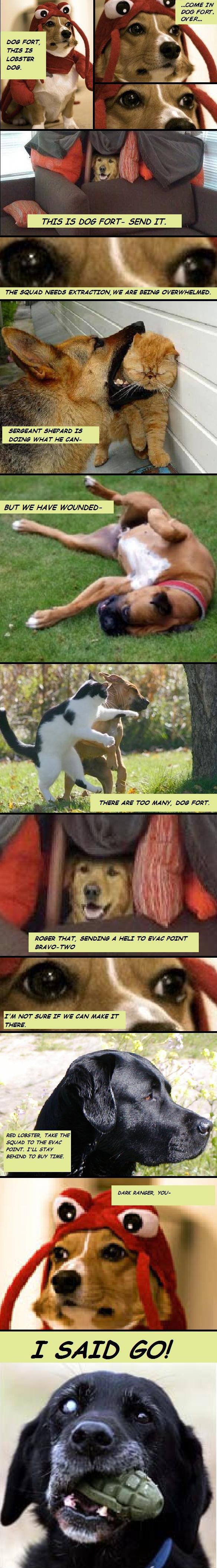 W8Arr.jpg