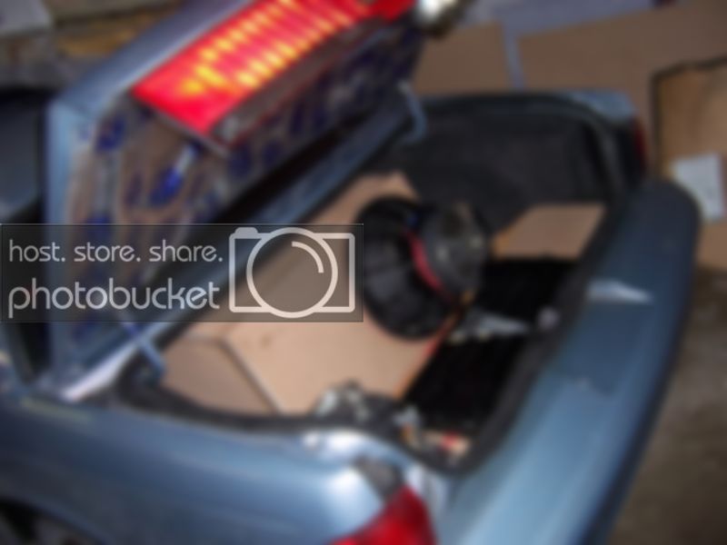 Mounted014.jpg