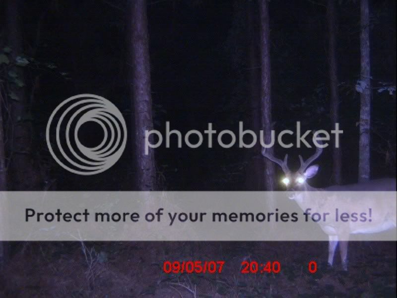 ICAM0235.jpg