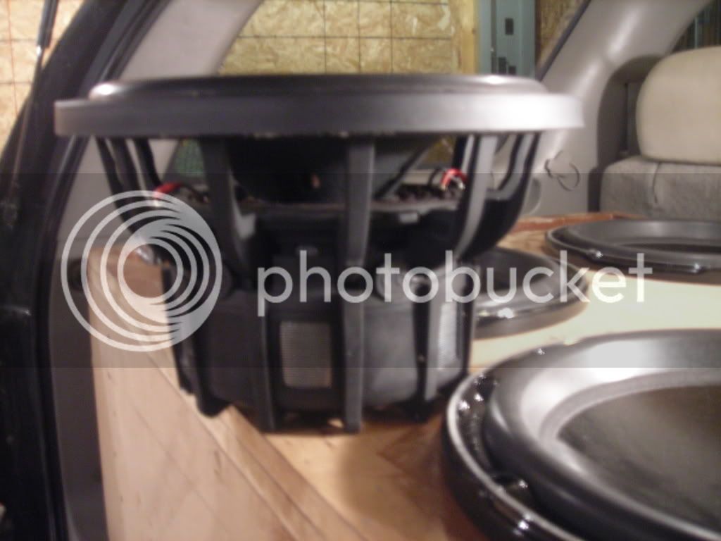 newpics2008418032.jpg