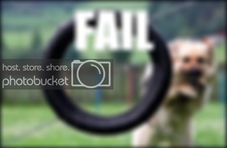 fail-2.jpg