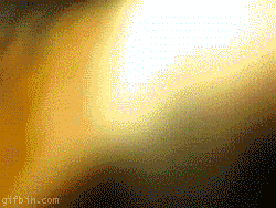 9rn1vr.gif