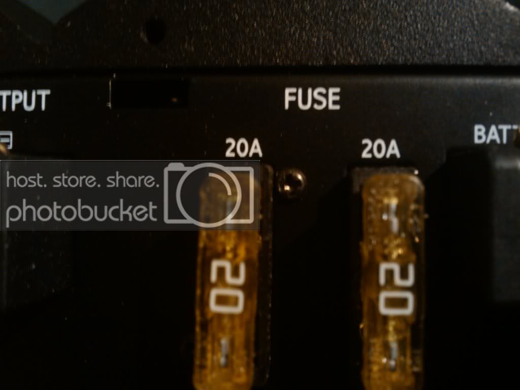 2010-01-06183039.jpg