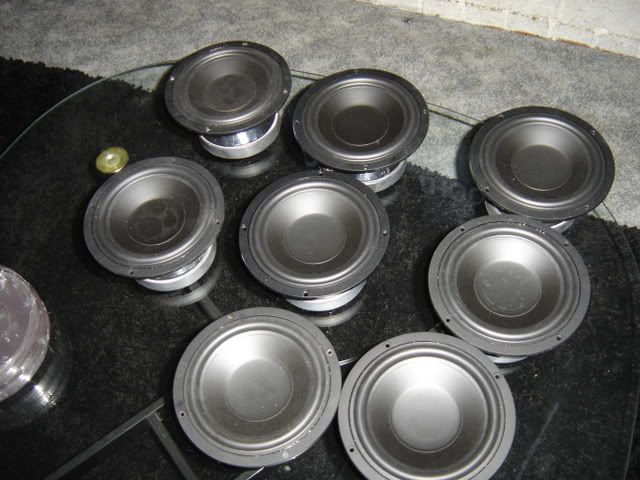 DSC08808.jpg