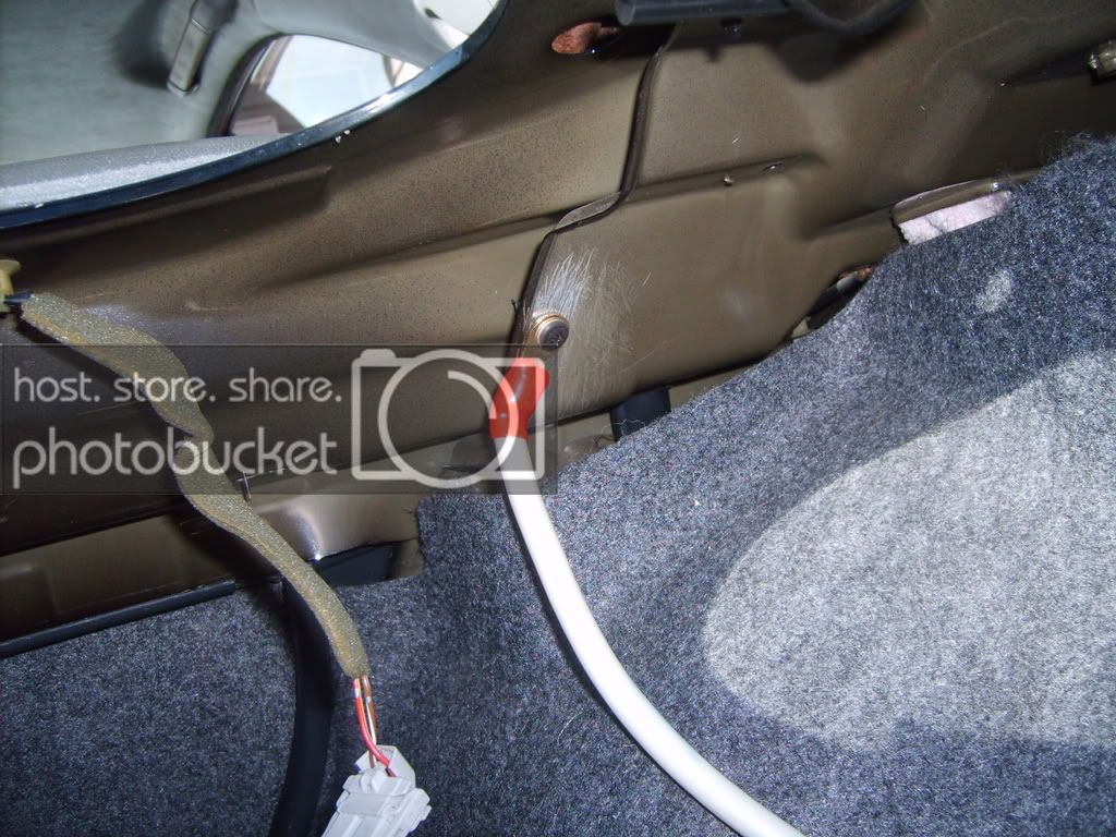 SD532859.jpg