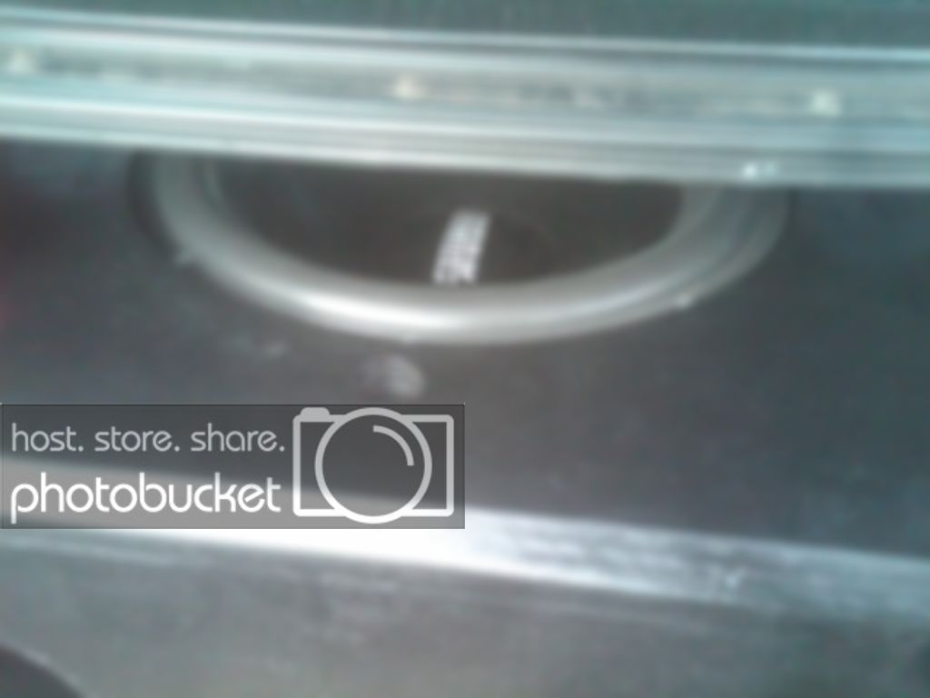 IMG01037-20101211-1005.jpg