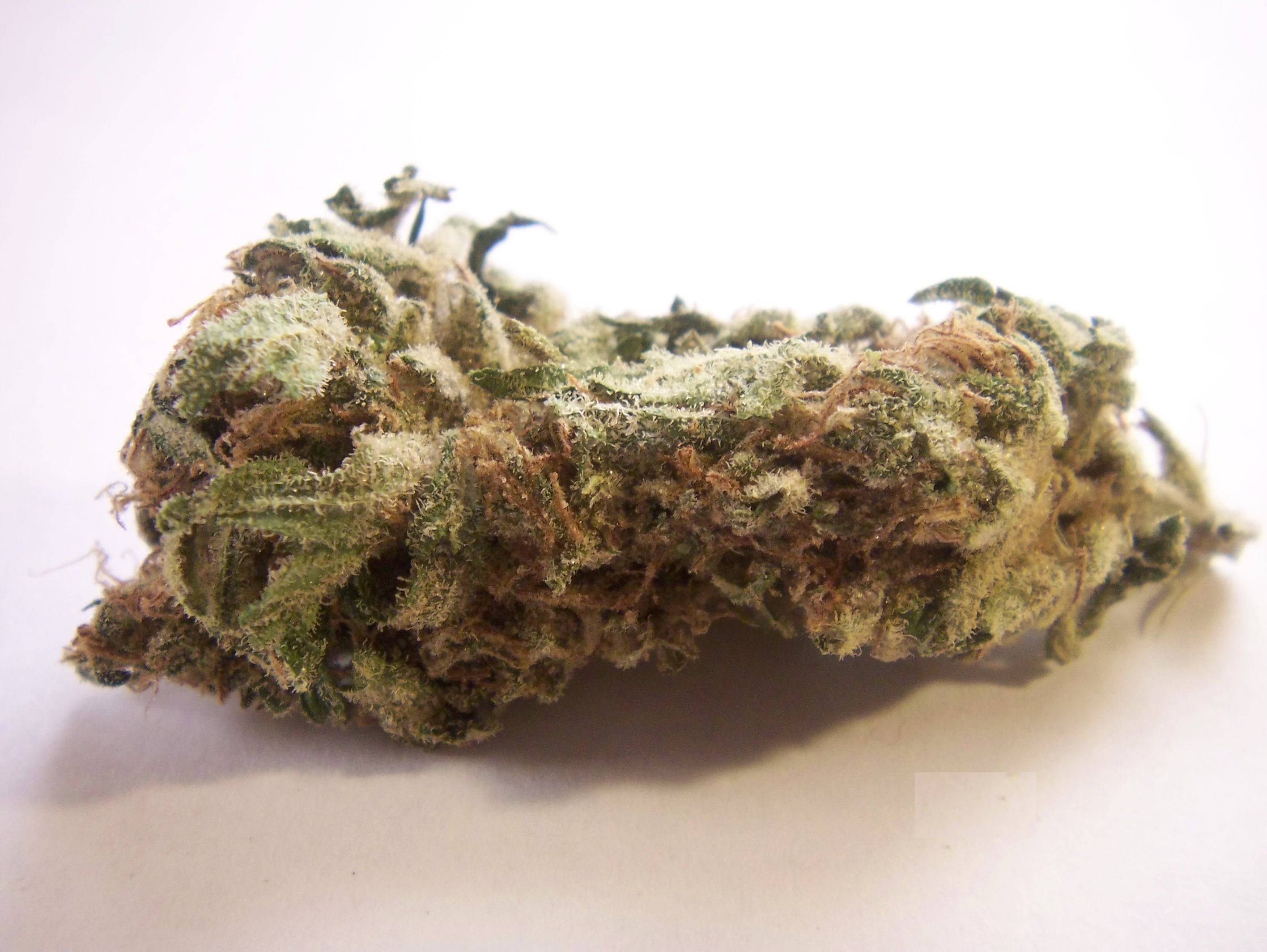 norcal-tangerine-diesel.jpg