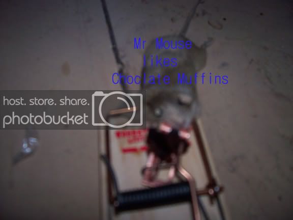 100_0133copy.jpg