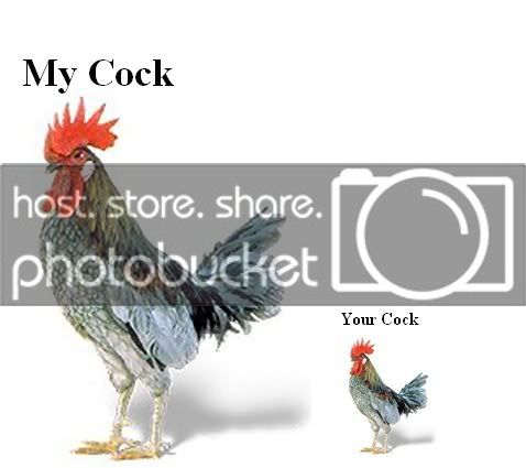 LolzChicken.jpg