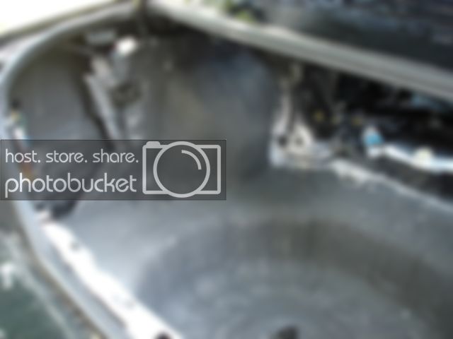 03-Trunk10.jpg