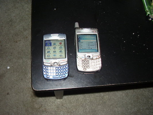 338710544.jpg