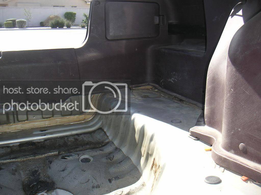 Trunk004a.jpg
