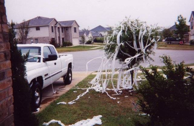 toiletpaper.jpg