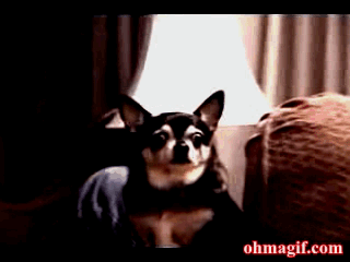 L6bwA2p.gif
