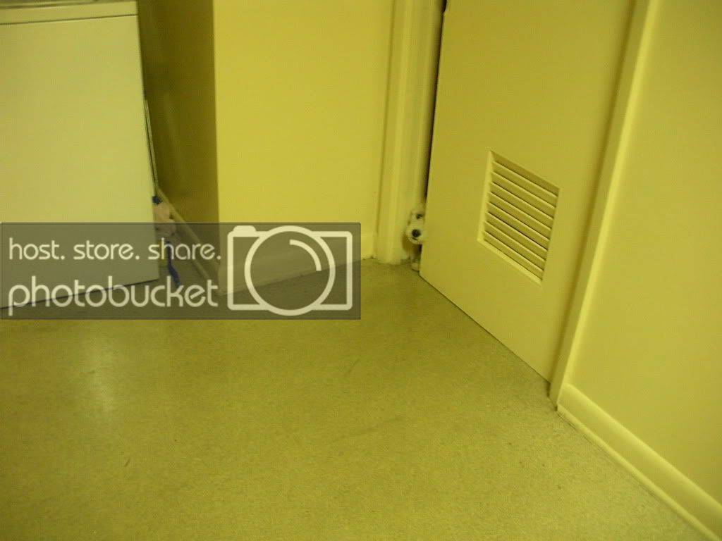 DSCN0241.jpg