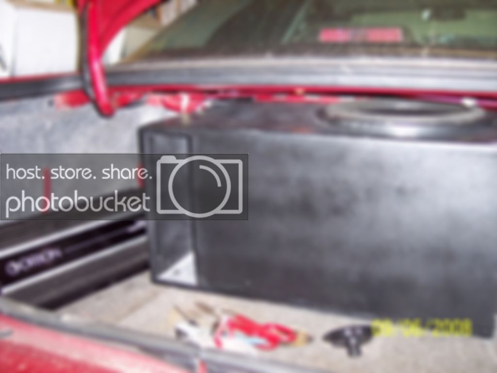 Trunk1.jpg