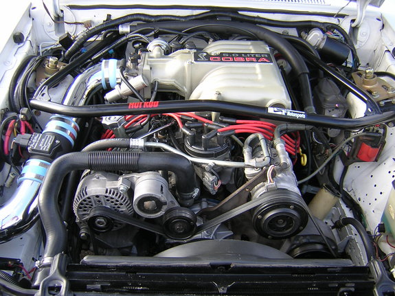 3245570017_large.jpg