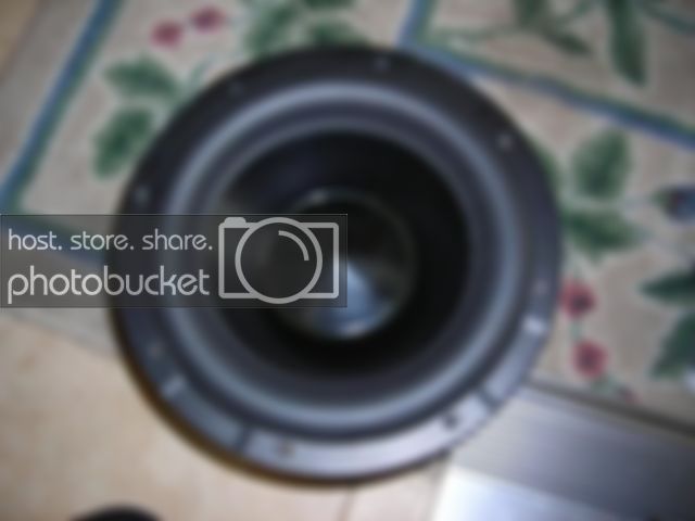 DSCN0292.jpg